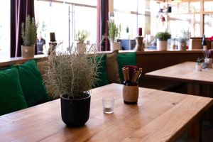 Der helle Innenraum des Restaurants mit Holztischen, gemütlichen Sitzbänken mit grünen Kissen und kleinen Topfpflanzen.